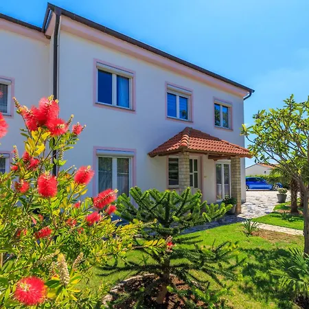 Rastovcan P * פובילה